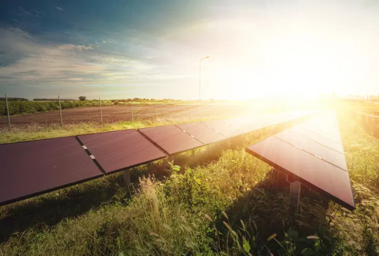 Ground-Mounted Solar Panels for Energy Systems
